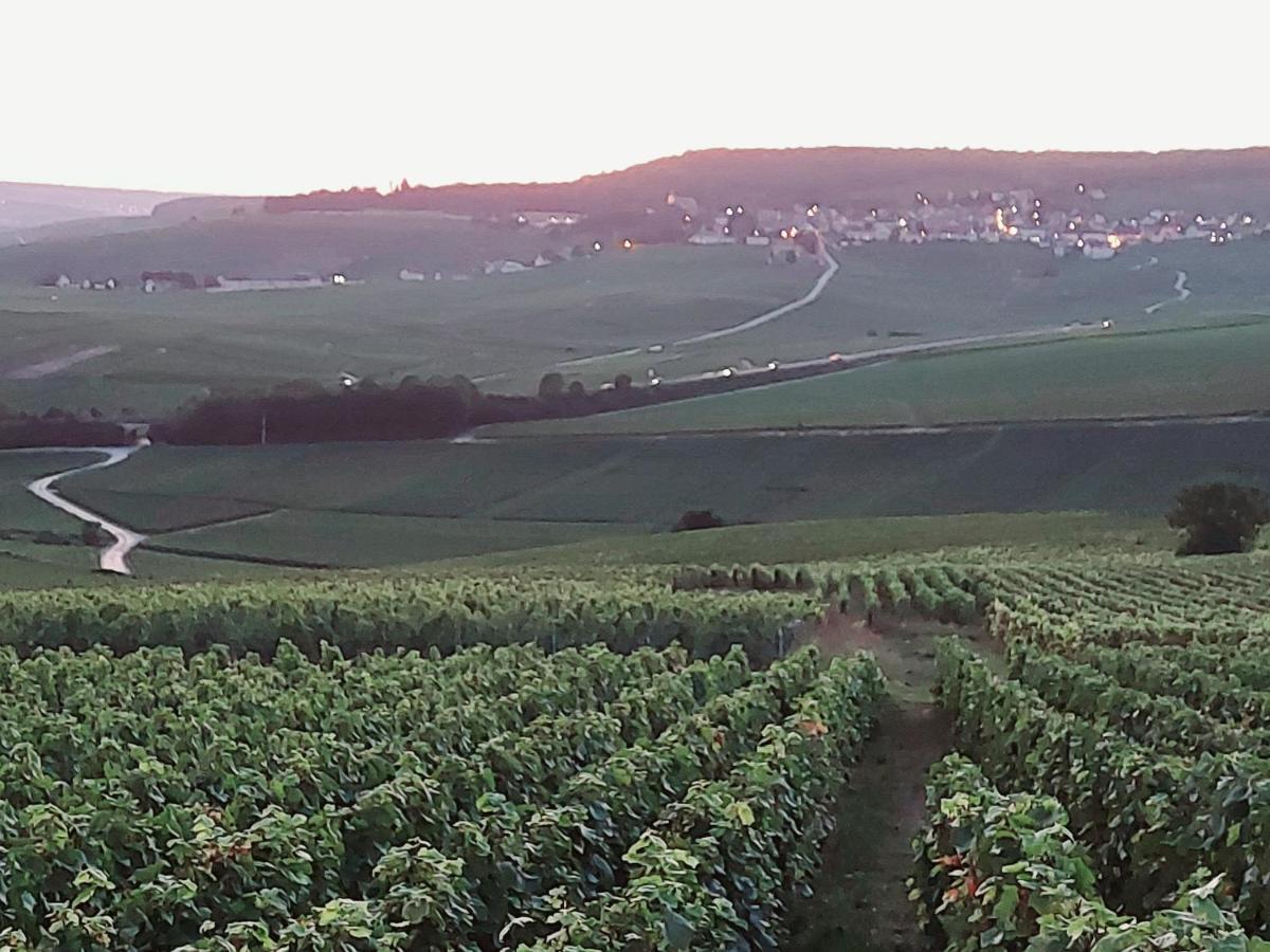 Epernay Capital De Champagne Apartment ภายนอก รูปภาพ
