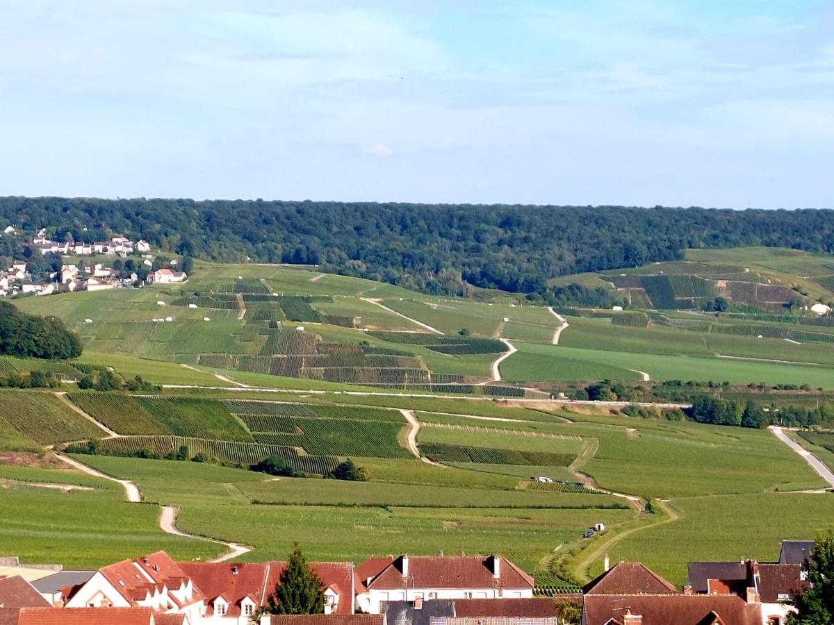 Epernay Capital De Champagne Apartment ภายนอก รูปภาพ